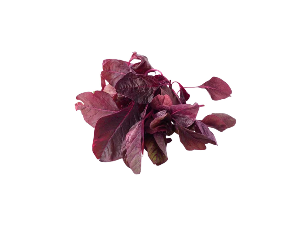 Product 4